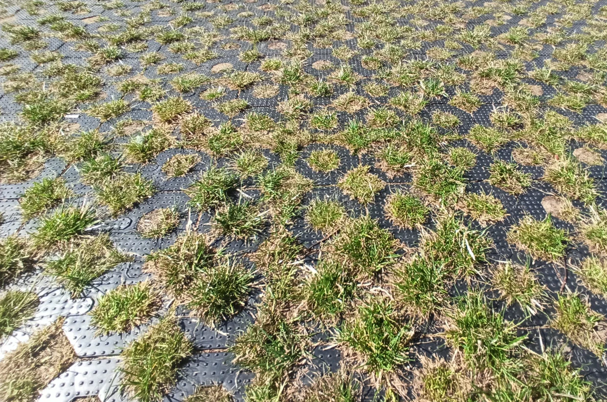 izgled podloge i parkinga posle dužeg vremena. Vidi se podloga i trava koja izbija