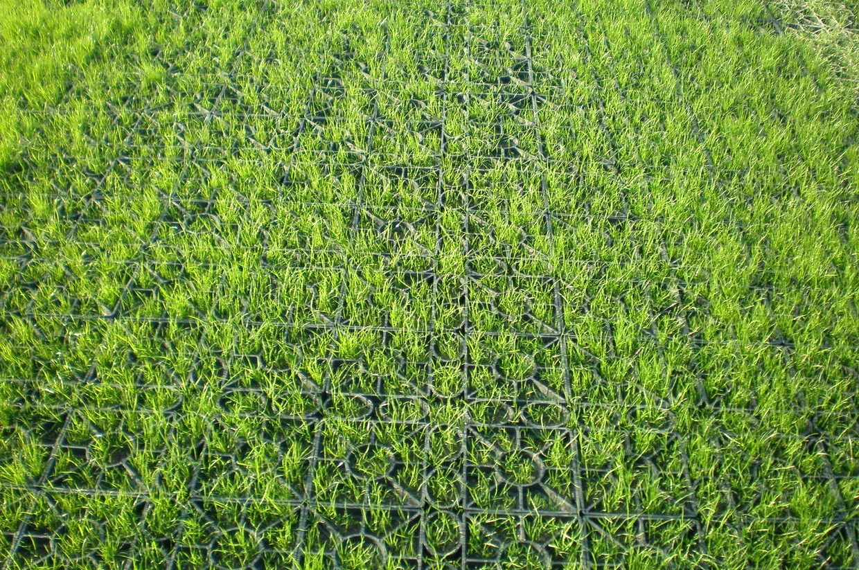 podloga geoflor sa travom koja probija